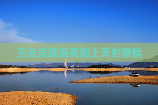 王者荣耀瑶爽到上天的表情