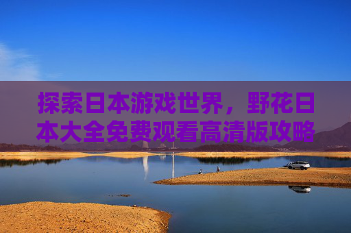 探索日本游戏世界，野花日本大全免费观看高清版攻略