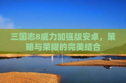 三国志8威力加强版安卓，策略与荣耀的完美结合