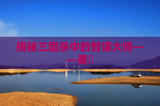 揭秘三国杀中的智谋大师——费祎