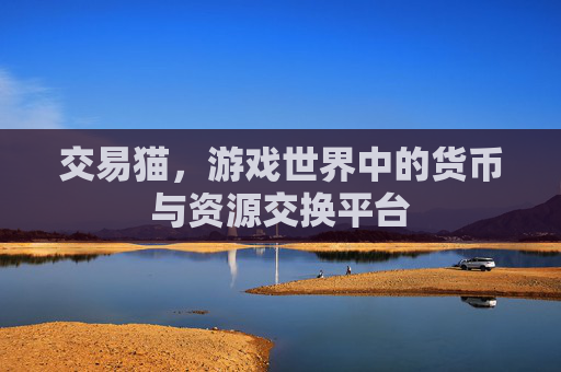 交易猫，游戏世界中的货币与资源交换平台