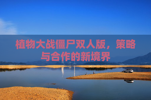 植物大战僵尸双人版，策略与合作的新境界