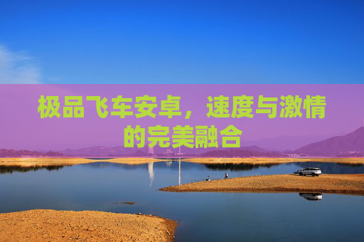 极品飞车安卓，速度与激情的完美融合
