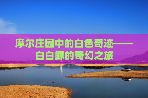 摩尔庄园中的白色奇迹——白白鲸的奇幻之旅