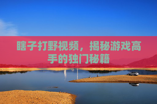 瞎子打野视频，揭秘游戏高手的独门秘籍