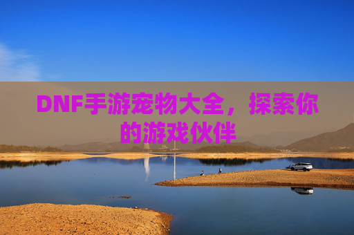 DNF手游宠物大全，探索你的游戏伙伴