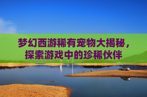 梦幻西游稀有宠物大揭秘，探索游戏中的珍稀伙伴