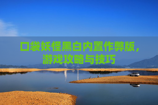 口袋妖怪黑白内置作弊版，游戏攻略与技巧