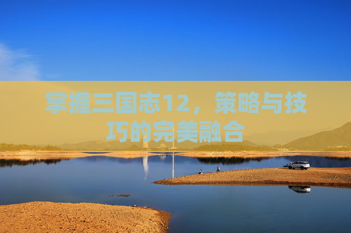 掌握三国志12，策略与技巧的完美融合