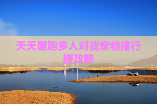 天天酷跑多人对战宠物排行榜攻略