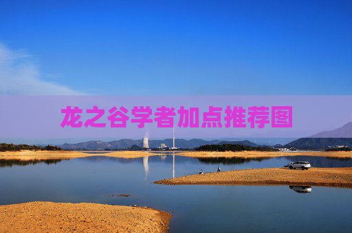 龙之谷学者加点推荐图