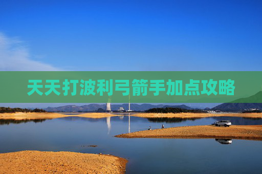 天天打波利弓箭手加点攻略
