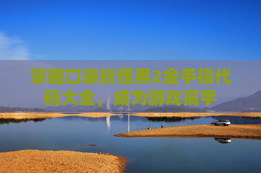 掌握口袋妖怪黑2金手指代码大全，成为游戏高手