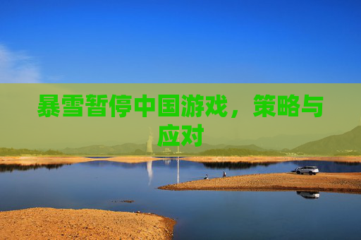 暴雪暂停中国游戏，策略与应对