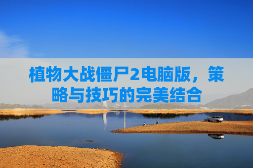 植物大战僵尸2电脑版,策略与技巧的完美结合 植物大战僵尸2电脑版,策略与技巧的完美结合