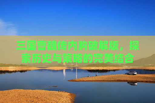 三国曹魏传内购破解版,探索历史与策略的完美结合 三国曹魏传内购破解版,探索历史与策略的完美结合