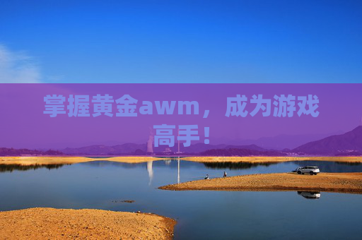 掌握黄金awm，成为游戏高手！