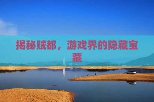 揭秘贼都，游戏界的隐藏宝藏