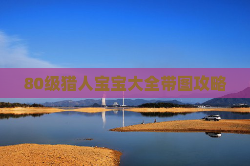 80级猎人宝宝大全带图攻略