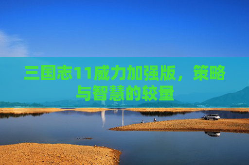 三国志11威力加强版，策略与智慧的较量