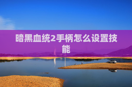 暗黑血统2手柄怎么设置技能