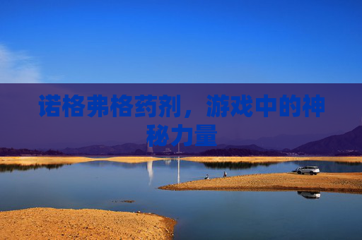 诺格弗格药剂，游戏中的神秘力量