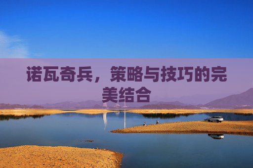 诺瓦奇兵，策略与技巧的完美结合