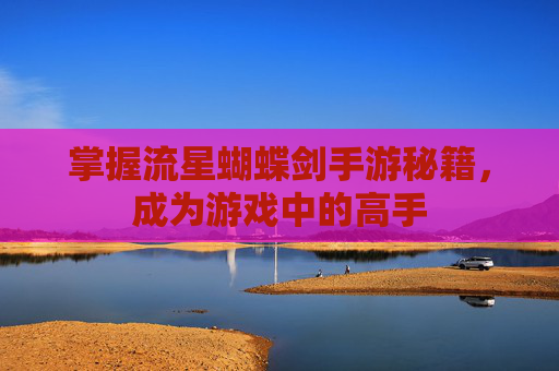 掌握流星蝴蝶剑手游秘籍，成为游戏中的高手