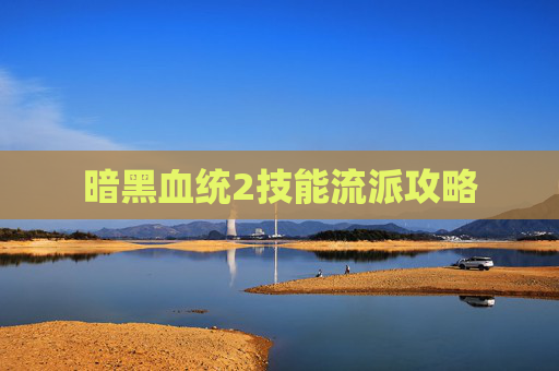 暗黑血统2技能流派攻略