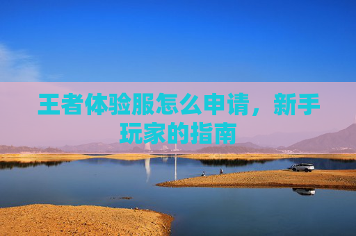 王者体验服怎么申请，新手玩家的指南