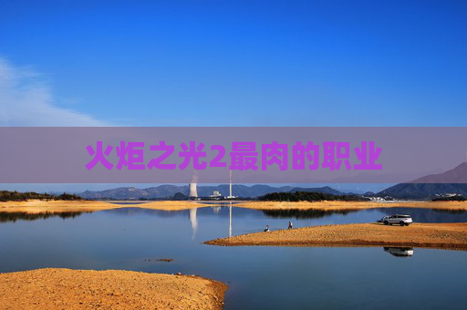 火炬之光2最肉的职业