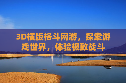 3D横版格斗网游，探索游戏世界，体验极致战斗