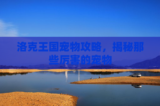 洛克王国宠物攻略，揭秘那些厉害的宠物