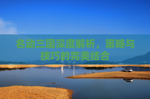 名动三国深度解析，策略与技巧的完美结合
