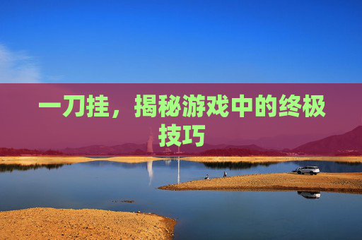 一刀挂，揭秘游戏中的终极技巧
