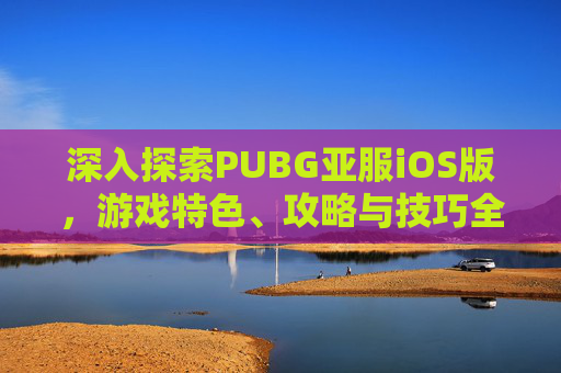 深入探索PUBG亚服iOS版,游戏特色、攻略与技巧全解析 深入探索PUBG亚服iOS版,游戏特色、攻略与技巧全解析