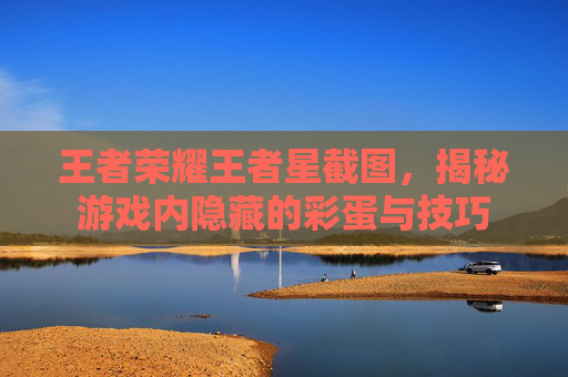 王者荣耀王者星截图,揭秘游戏内隐藏的彩蛋与技巧 王者荣耀王者星截图,揭秘游戏内隐藏的彩蛋与技巧