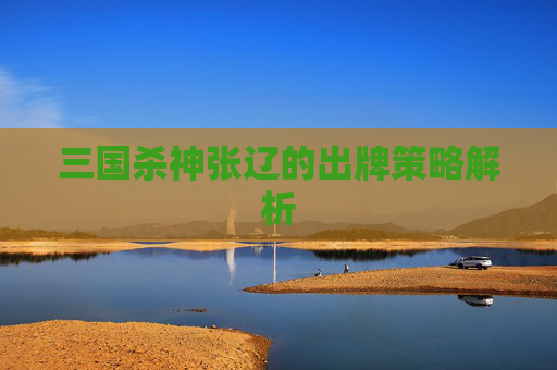 三国杀神张辽的出牌策略解析 三国杀神张辽的出牌策略解析