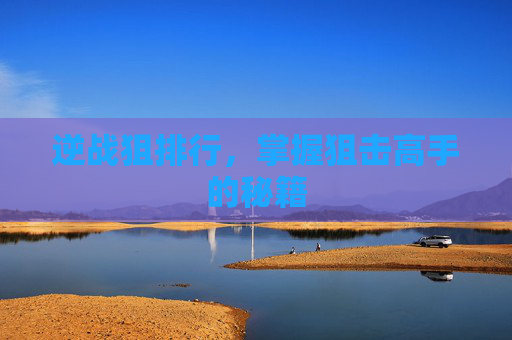 逆战狙排行,掌握狙击高手的秘籍 逆战狙排行,掌握狙击高手的秘籍