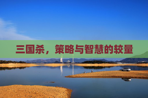 三国杀,策略与智慧的较量 三国杀,策略与智慧的较量