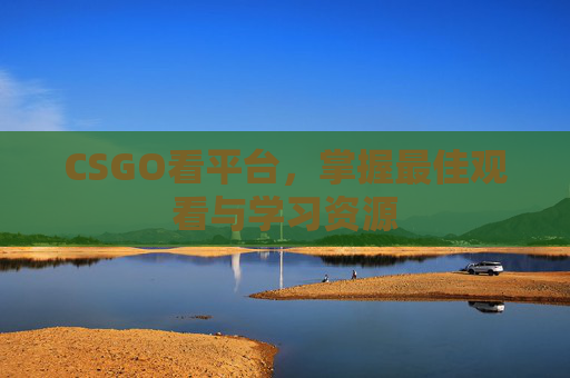 CSGO看平台,掌握最佳观看与学习资源 CSGO看平台,掌握最佳观看与学习资源