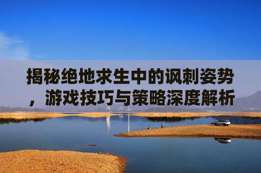揭秘绝地求生中的讽刺姿势,游戏技巧与策略深度解析 揭秘绝地求生中的讽刺姿势,游戏技巧与策略深度解析
