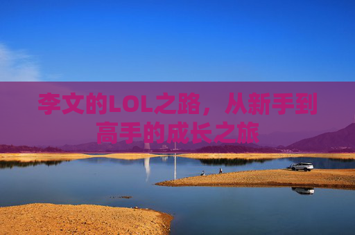 李文的LOL之路,从新手到高手的成长之旅 李文的LOL之路,从新手到高手的成长之旅