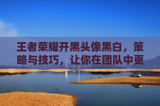 王者荣耀开黑头像黑白,策略与技巧,让你在团队中更出色 王者荣耀开黑头像黑白,策略与技巧,让你在团队中更出色