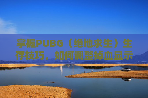 掌握PUBG(绝地求生)生存技巧,如何调整掉血显示为红色? 掌握PUBG(绝地求生)生存技巧,如何调整掉血显示为红色?