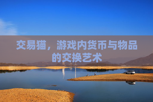 交易猫，游戏内货币与物品的交换艺术