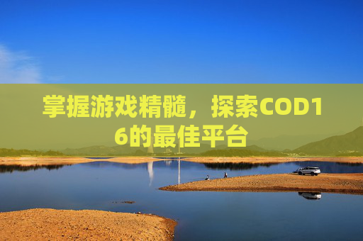 掌握游戏精髓，探索COD16的最佳平台