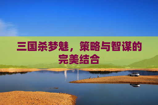 三国杀梦魅,策略与智谋的完美结合 三国杀梦魅,策略与智谋的完美结合