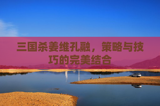三国杀姜维孔融,策略与技巧的完美结合 三国杀姜维孔融,策略与技巧的完美结合