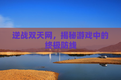 逆战双天网,揭秘游戏中的终极防线 逆战双天网,揭秘游戏中的终极防线